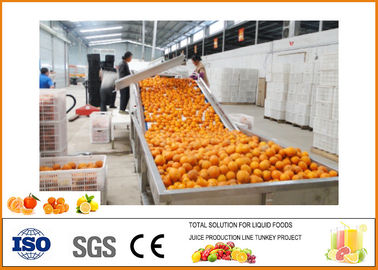 China SS304 linha de produção do suco de laranja do Turnkey 5T/H fornecedor