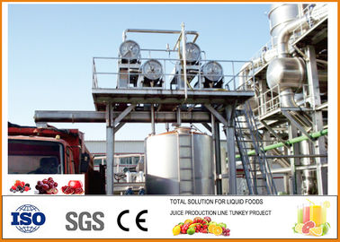 China Fábrica de tratamento da bebida 10T/H, linha de processamento automática completa do mirtilo fornecedor