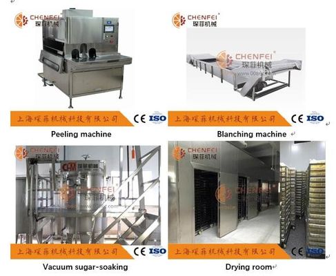 Linha de produção automática 304 material de aço inoxidável do suco de fruto do quivi