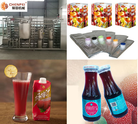 Suco da bebida do Waxberry do Turnkey SS304 que faz a linha de processamento CFM-B-07 da máquina