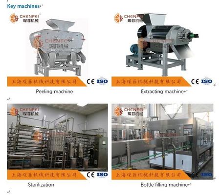 Linha de produção 5T do suco da romã de Coustom/certificado de H ISO9001